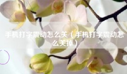 手机打字震动怎么关（手机打字震动怎么关掉）
