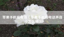 苹果手机接电话（苹果手机接电话声音小怎么调）