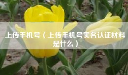 上传手机号（上传手机号实名认证材料是什么）