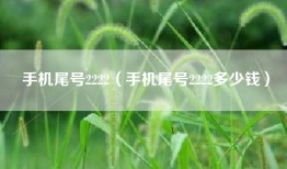 手机尾号2222（手机尾号2222多少钱）