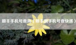 顺丰手机号查询（顺丰用手机号查快递）