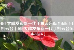 DJI 大疆发布新一代手机云台Oo Mobile 6手机云台「DJI 大疆发布新一代手机云台Oo Mobile 6」