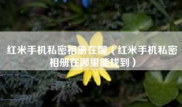 红米手机私密相册在哪（红米手机私密相册在哪里能找到）