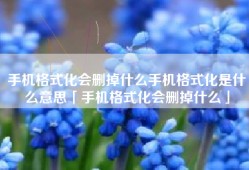 手机格式化会删掉什么手机格式化是什么意思「手机格式化会删掉什么」