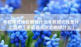 手机格式化会删掉什么手机格式化是什么意思「手机格式化会删掉什么」