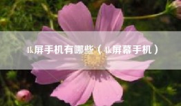 4k屏手机有哪些（4k屏幕手机）