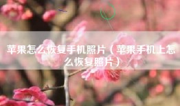 苹果怎么恢复手机照片（苹果手机上怎么恢复照片）