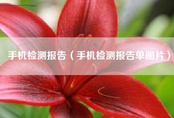 手机检测报告（手机检测报告单图片）