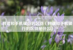 网银和手机银行的区别（网银和手机银行的区别是什么）