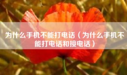 为什么手机不能打电话（为什么手机不能打电话和接电话）