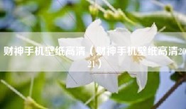 财神手机壁纸高清（财神手机壁纸高清2021）