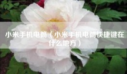 小米手机电筒（小米手机电筒快捷键在什么地方）