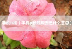 手机10核（手机10核处理器是什么意思）