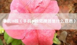 手机10核（手机10核处理器是什么意思）