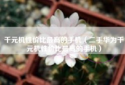 千元机性价比最高的手机（二手华为千元机性价比最高的手机）