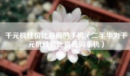 千元机性价比最高的手机（二手华为千元机性价比最高的手机）