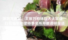 深圳龙岗区、太原万柏林区人大常委一行莅临华炬律师事务所开展调研座谈