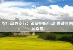 农行单县支行：银龄护航行动 善诚金融润桑榆