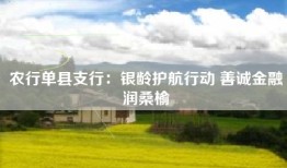 农行单县支行：银龄护航行动 善诚金融润桑榆