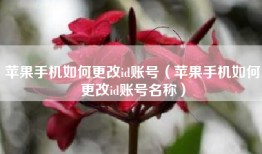 苹果手机如何更改id账号（苹果手机如何更改id账号名称）