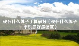 现在什么牌子手机最好（现在什么牌子手机最好最便宜）