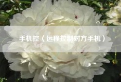 手机控（远程控制对方手机）