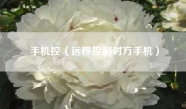手机控（远程控制对方手机）