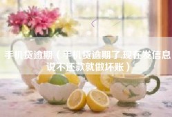 手机贷逾期（手机贷逾期了,现在发信息说不还款就做坏账）