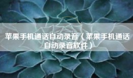 苹果手机通话自动录音（苹果手机通话自动录音软件）
