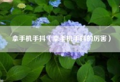 拿手机手抖（拿手机手抖的厉害）