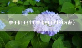 拿手机手抖（拿手机手抖的厉害）