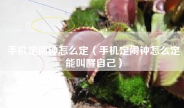 手机定闹钟怎么定（手机定闹钟怎么定能叫醒自己）