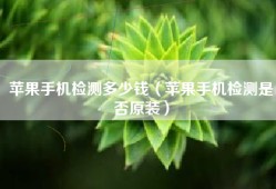 苹果手机检测多少钱（苹果手机检测是否原装）