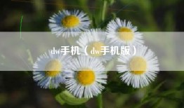 dw手机（dw手机版）