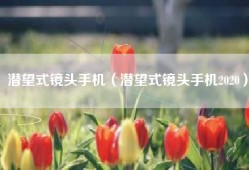 潜望式镜头手机（潜望式镜头手机2020）
