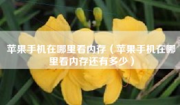 苹果手机在哪里看内存（苹果手机在哪里看内存还有多少）