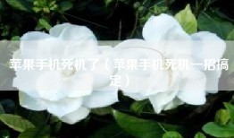 苹果手机死机了（苹果手机死机一招搞定）