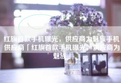 红旗首款手机曝光，供应商为魅族手机供应商「红旗首款手机曝光，供应商为魅族」