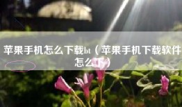 苹果手机怎么下载bt（苹果手机下载软件怎么下）