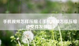 手机视频怎样压缩（手机视频怎样压缩成文件发微信）