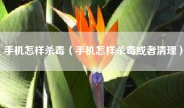 手机怎样杀毒（手机怎样杀毒或者清理）
