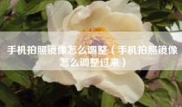 手机拍照镜像怎么调整（手机拍照镜像怎么调整过来）