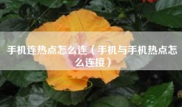 手机连热点怎么连（手机与手机热点怎么连接）