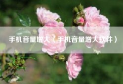 手机音量增大（手机音量增大软件）