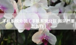 手机系统分区（手机系统分区 损坏严重怎么办）