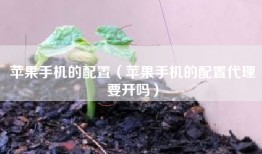 苹果手机的配置（苹果手机的配置代理要开吗）