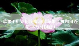 苹果手机如何连接wifi（苹果手机如何连接wifi万能钥匙）