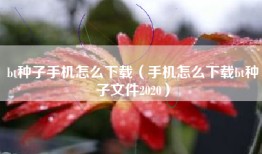 bt种子手机怎么下载（手机怎么下载bt种子文件2020）