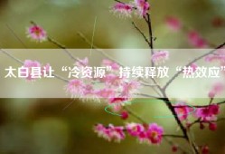 太白县让“冷资源”持续释放“热效应”