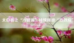 太白县让“冷资源”持续释放“热效应”